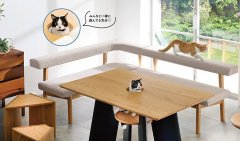 被猫主子盯著吃饭！日本 Dinos 猫咪探头餐桌